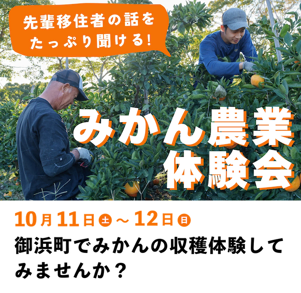10月11(土)〜12日(日) 御浜町でみかんの収穫体験してみませんか？