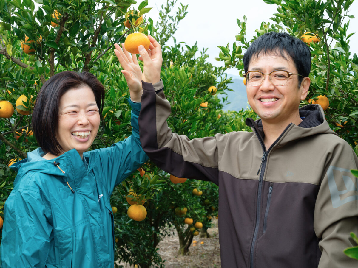 「自分たちでもできる」名古屋から移住。会社員から夫婦でみかん農家を目指す