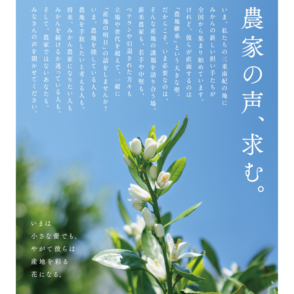 三重南紀・農業後継者確保のための「キックオフ・シンポジウム」開催！6月22日(日)