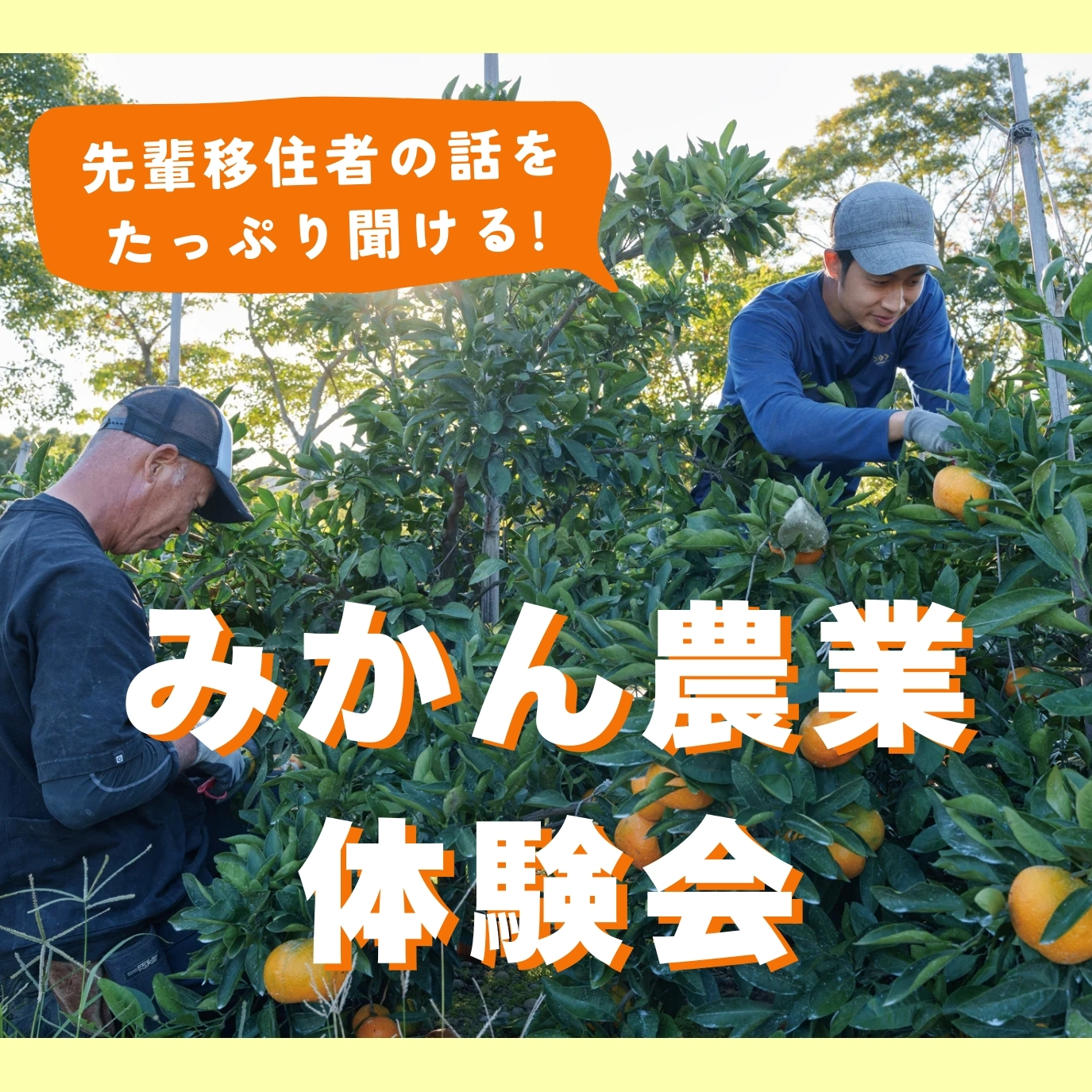 みかん農業体験会を開催します！ 10月11〜12日（申込受付中）