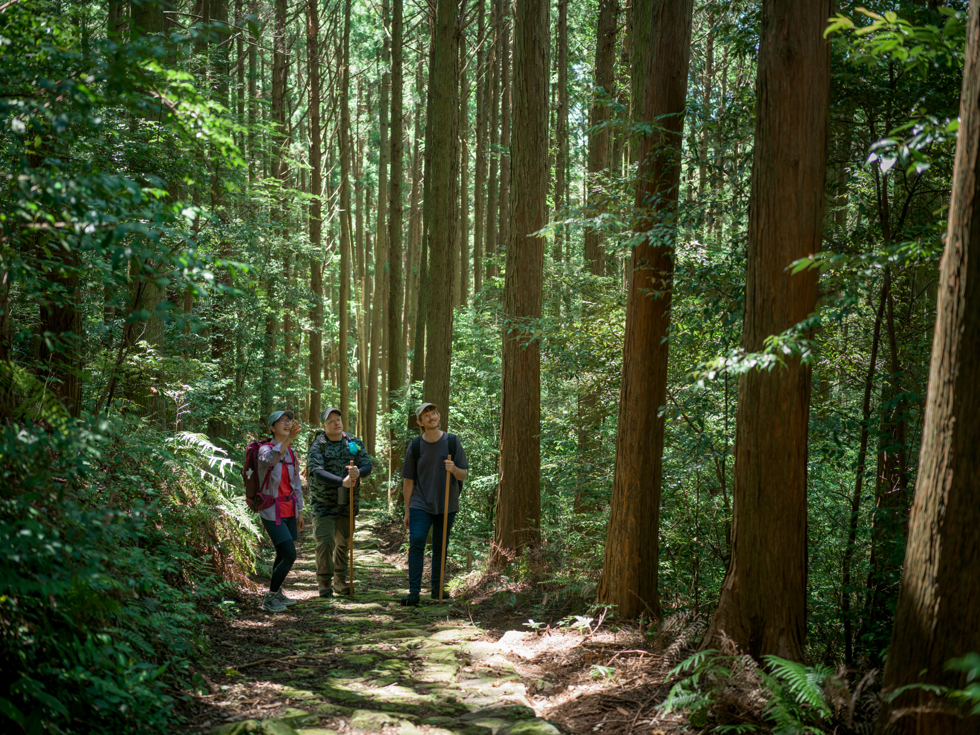 神聖な道のその先へ、熊野古道と里山の暮らしに出会う旅