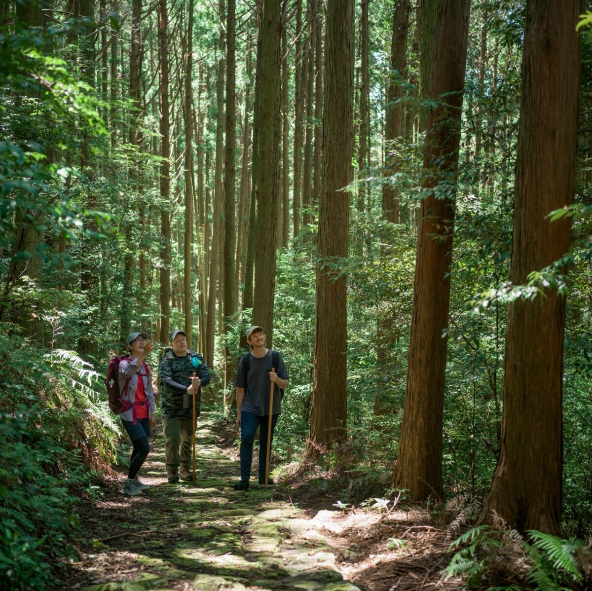 Explore Satoyama life and embark on a spiritual journey on the Kumano Kodo