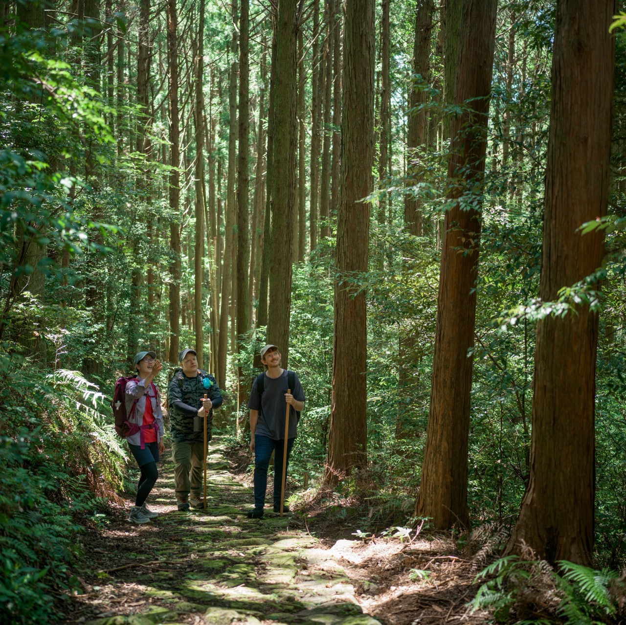 Explore Satoyama life and embark on a spiritual journey on the Kumano Kodo