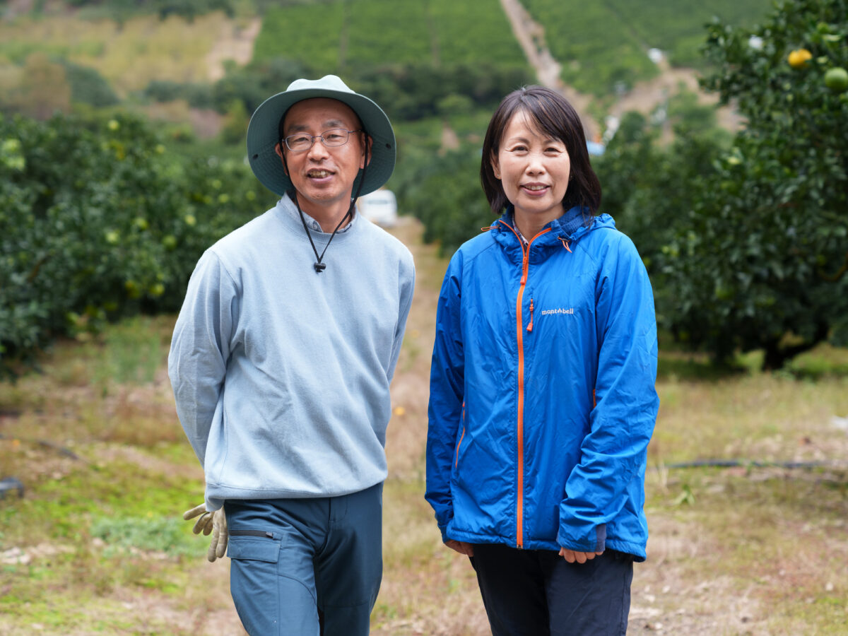 40代サラリーマンの挑戦。働き方を変え、土地と生きる。みかんで新規就農という選択