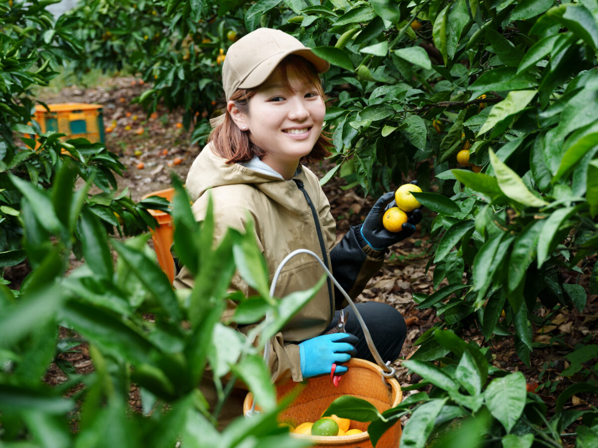 「満員電車を降りて、みかん畑へ」25歳、横浜から御浜町へ移住。“農業女子”を目指した理由